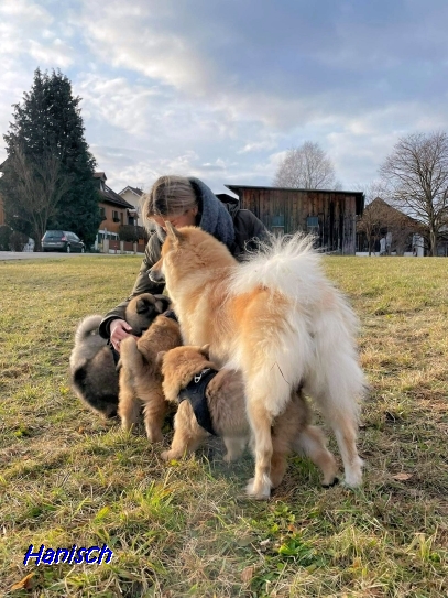 1.2022 - Familienkuscheln